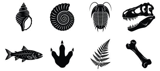 Collection of ancient fossils and prehistoric animal skeletons, dinosaur skull, fish, trilobite, ammonite, seashell, bone, and fern leaf Vector © FocusNest