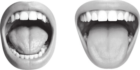 Anatomical illustration of an open human mouth with visible tongue and teeth on a white background anatomy dentition © RAFIQ