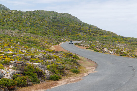 Road through hills near Cape of Good Hope