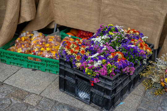 Colorful Dried Strawflowers for Sale at Autumn Market