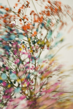 Abstract Background Of Blurred Dried Flowers With Pink Orange Tones