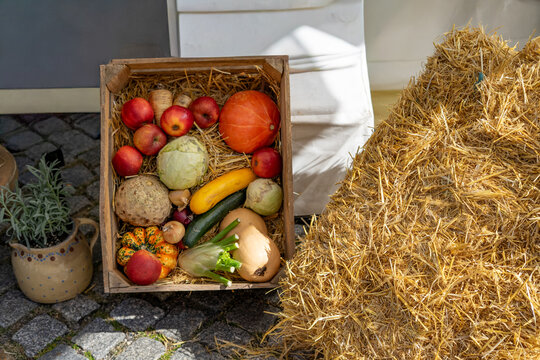 Still Life of Vegetables in Wooden Crate with Straw bales at Autumn Market