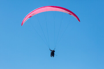 Paraglider soars against clear blue sky © schankz