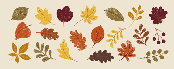 Obraz premium Set of hand drawn autumn, fall leaves, plants, berries with grunge texture. Warm fall colors.