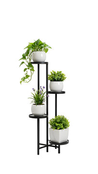 Modern metal plant stand with four potted green plants. Tiered black iron shelving unit featuring white ceramic pots. Indoor home decor display