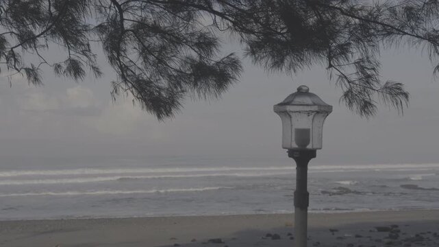 Vintage lamp post on black sand beach with ocean waves and pine tree branches in Apple Log flat profile HEVC H265. Ungraded log footage for color grading. Yeh Gangga beach Bali with birds flying