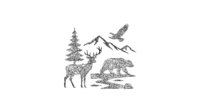 Sketch national park wildlife icon animation - smooth progressive reveal