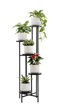 Multi-tier plant stand with assorted indoor plants. Featuring a black metal rack and five ribbed white ceramic pots for home decor and interior design