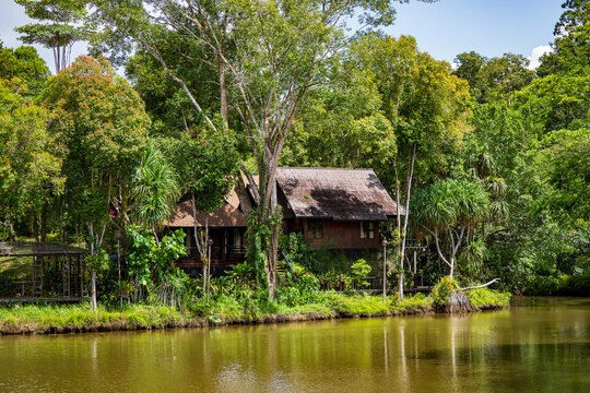 Wooden eco lodge by river in tropical rainforest, Malaysia. Secluded wooden house and bungalow nestled among lush green trees on the bank of calm river with reflections under blue sky
