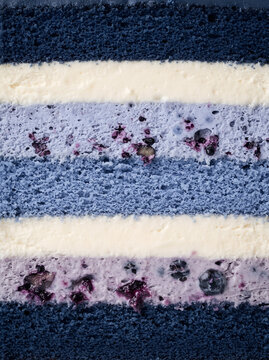 Close-up of a blueberry layered cake with soft sponge, creamy filling, and blueberry pieces, showcasing detailed textures and colorful dessert layers.