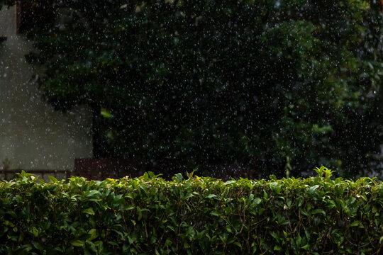 土砂降りの雨