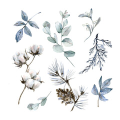 Obraz premium A winter floral watercolor set. Hand-drawn illustrations of cotton eucalyptus, pine, and juniper branches. Isolated on a white background. Elements for Christmas card, invitation and label designs.