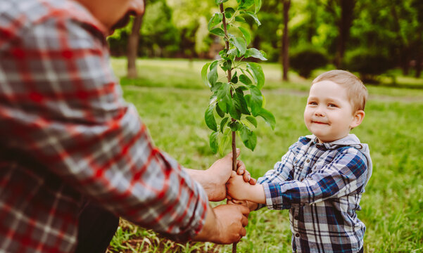 Young boy and his grandfather are planting young tree in sunny garden. Child and adult are holding tree trunk, spending time together outdoors. Concept of ecology, gardening, and childhood.