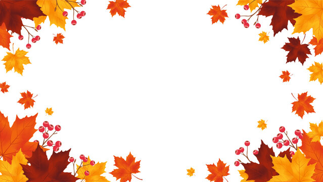 Autumn maple leaf frame with yellow orange and deep red foliage, red berry branches and spacious white copy space, elegant seasonal border for Thanksgiving, fall promotions, invitations