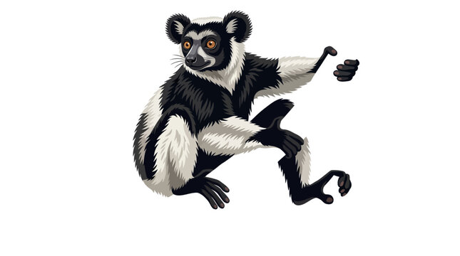 black and white lemur Indri_lemur_vector_illustration_