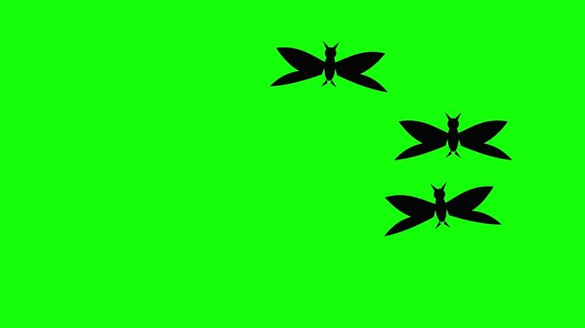 Black dragonfly silhouettes flying in a group against a bright green chroma key background animation