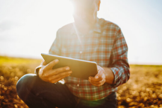 Farmer in plaid shirt stands in field with digital tablet at sunset. Man is working and checking soil while holding the tablet. Concepts: ecology, smart farming, gardening.