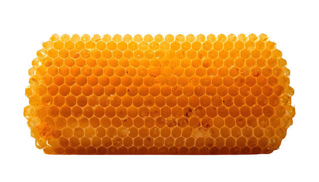honeycomb isolated on white background