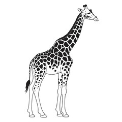giraffe vector illustration © Ayesha Zahid