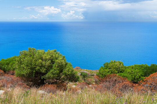 Vibrant coastal landscape lush green hill overlook blue sea horizon panoramic scenery landscape
