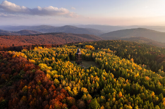 Aerial view of the wooden observation and bell tower surrounded by vibrant autumn forest with colorful trees and rolling mountains in the background, Nedil'na, Lviv Oblast, Ukraine.