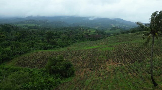 Cinematic aerial view of rice fields and rural farms around San Jose, Ocampo, Camarines Sur, Philippines, with Villaflorida countryside and Mount Isarog rising in the background beneath a cloudy, rain