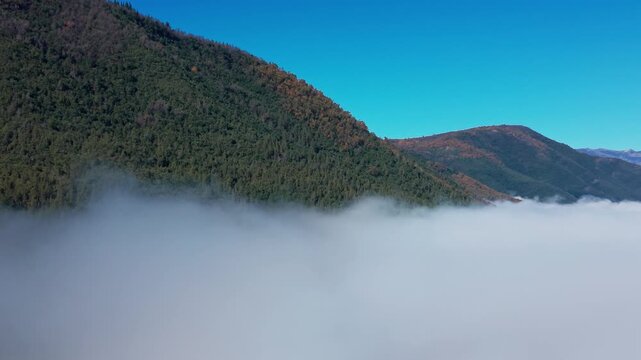 Panoramic sweeping view of dense forested mountain slopes with hints of orange autumn color rising above a thick rolling sea of fog under a clear blue sky
