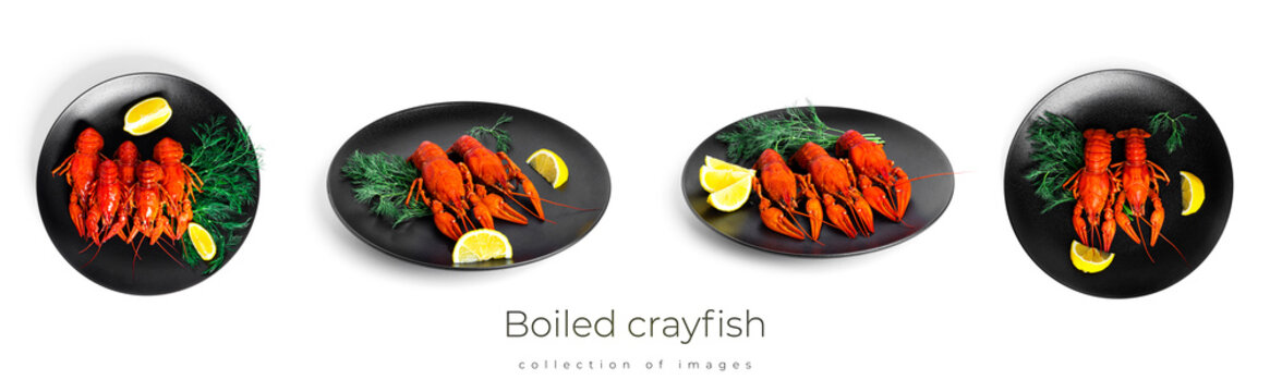 Boiled crayfish with dill and lemon on black plate isolated on a white background.