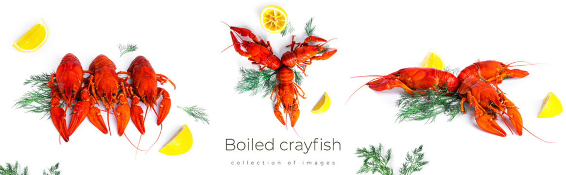 Boiled crayfish with dill and lemon on black plate isolated on a white background.