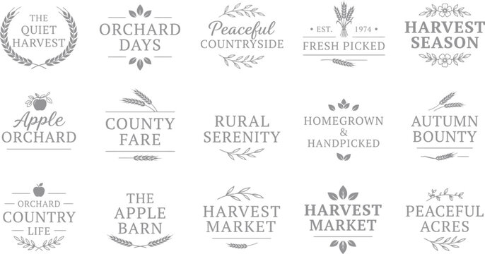 Collection of vintage hand drawn typography badges and labels for rustic branding and decorative design elements
