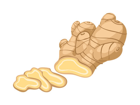 Fresh ginger root with sliced ginger pieces