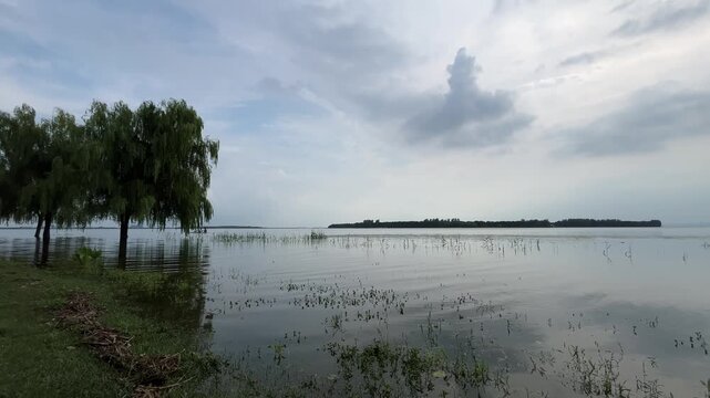 4K Overcast Lake Willow Tree Boater Suzhou