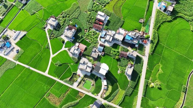 Landscape view: Rural settlement with solar panels on rooftops surrounded by patchwork green farmland