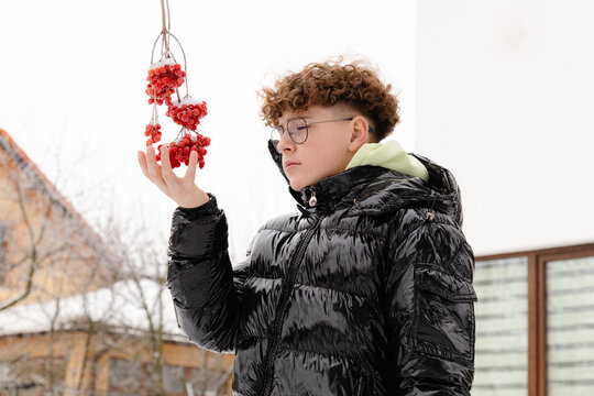 Boy holds red viburnum berries in his hand in a snowy setting during winter