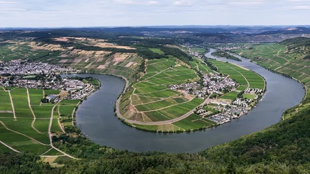 Spektakul&auml;re Luftaufnahme der Moselschleife bei P&ouml;lich und Mehring. Gr&uuml;ne Weinberge s&auml;umen das tiefblaue Flussufer unter leicht bew&ouml;lktem Sommerhimmel in der Urlaubsregion Mosel.