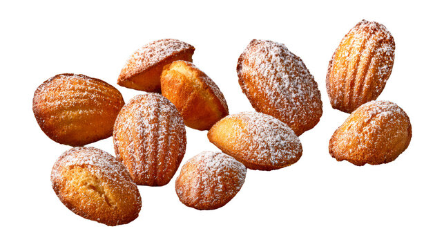 Golden French Madeleine Cakes Isolated