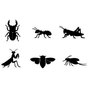 Diverse Insect Silhouette Icons Collection