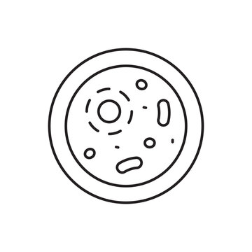 Animal Cell