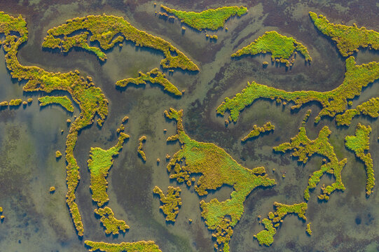 Aerial view of vibrant green marshland and intricate water channels in the wetlands of Huntington Beach, California, United States.