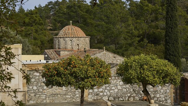 View of a church with orange trees and forest in the background, monastery, Moni Thari, near Gadouras reservoir, lonely mountain region, Rhodes, Dodecanese, Greek Islands, Greece