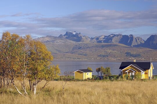 Yellow houses in front of a lake and mountain scenery, surrounded by autumn trees and grass under a blue sky, Sortland, Vesteralen, Nordland, Norway