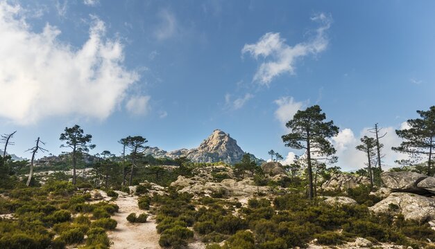 Hiking trail to Piscia di Gallo, mountain landscape with Punta di u Diamante, Punta del Diamante, L'Osp&eacute;dale, Alta Rocca, Corsica, France