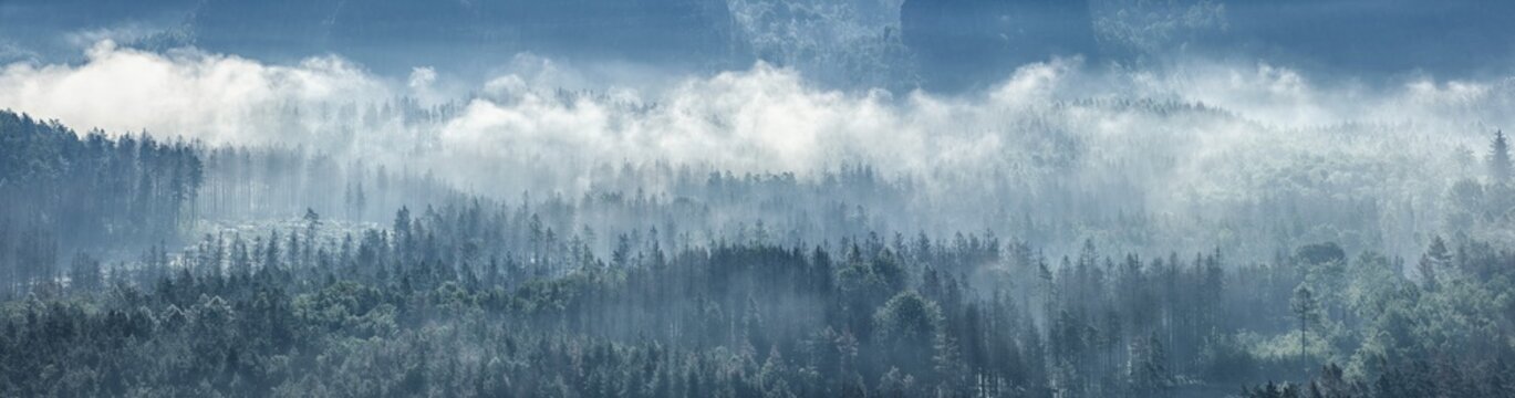 Panorama, view of forest with morning fog, National Park Saxon Switzerland, Elbe Sandstone Mountains, Saxony, Germany