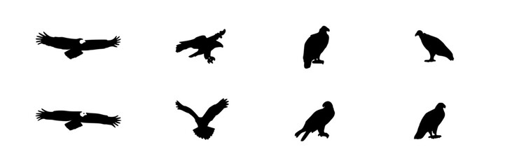 Fototapeta premium Raptor Birds Silhouette Icons Set, Diverse Poses and Wing Positions. Vector Illustration, Wildlife Design, Animal Symbol
