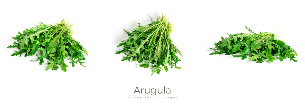Arugula isolated on white background. A bunch of arugula