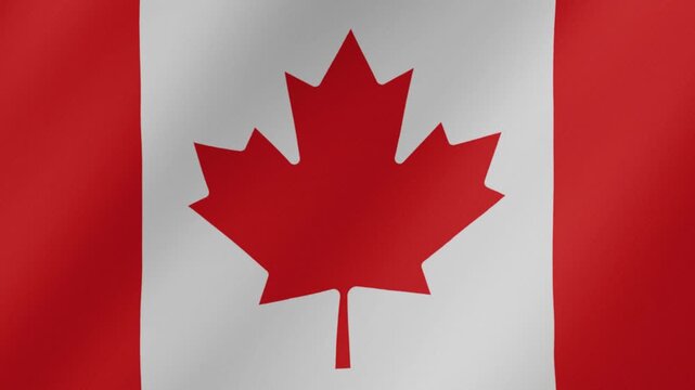 Waving canadian flag with red maple leaf