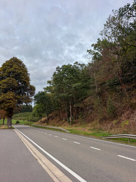 Empty Two-Lane Country Road Through Autumn Forest in Reuland, Belgium