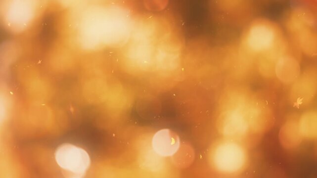 黄色やオレンジ色に輝く秋の紅葉の木々と、木漏れ日の玉ボケ背景 舞い散る紅葉の落ち葉