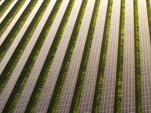 Aerial view of photovoltaic solar panel rows forming a large renewable energy installation