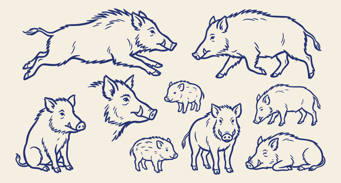 Wild boar and piglets line art illustration collection with various animal poses isolated on light background